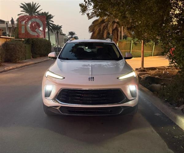 بويك انكور 2024 للبيع في العراق -  بغداد